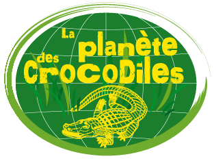 Logo01